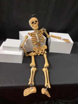Halloween hanging skeleton 3ft 