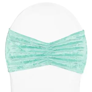 Turquoise Velvet Chair Band