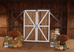 Barn Door Arch Statement Piece