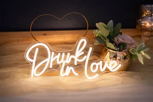 LED Lighted Sign: Drunk in Love