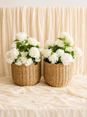 Hydrangea Baskets (5 Available) 
