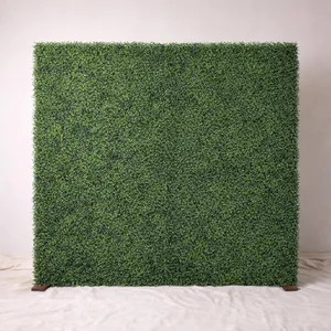 Backdrop: Boxwood 10x10