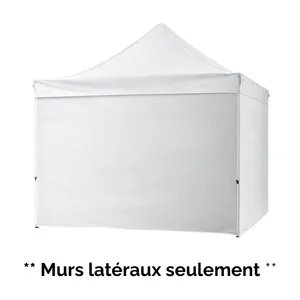 Murs latéraux chapiteaux