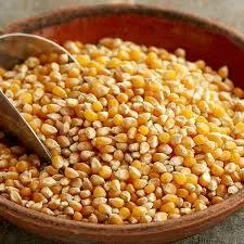 Grain de Popcorn 