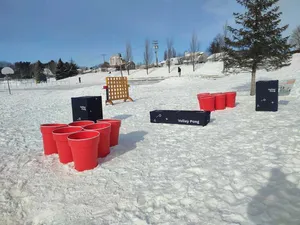 Jeu Pong Géant 
