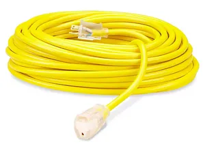 Extension Électrique 100 pieds