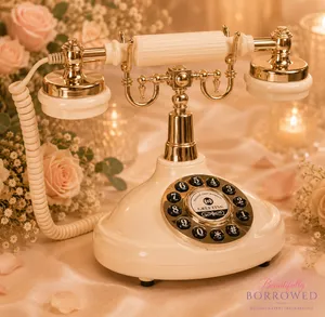 Vintage Phone (Audio Guestbook)