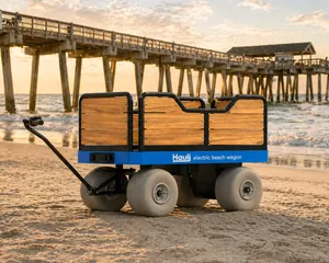 Hauli Beach Wagon — Tybee Island