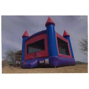 Princess Bouncer