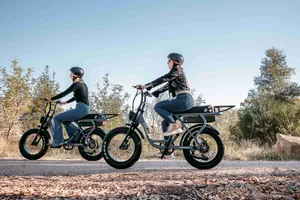 Stator Cub E Retro E Bike (NEW)