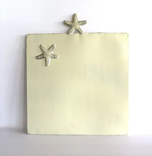 Starfish Magnet Board