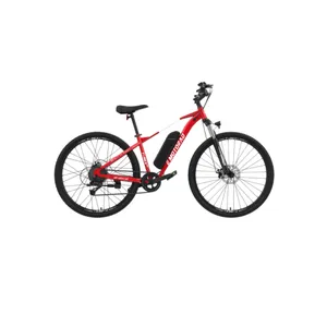 E-Bike - EMotorad T-Rex 