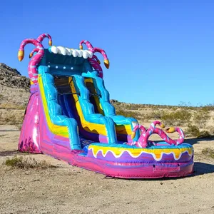Summer Splash Party | Mysterious Jungle 15' Slide