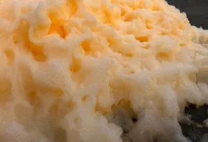 Orange Foam Color