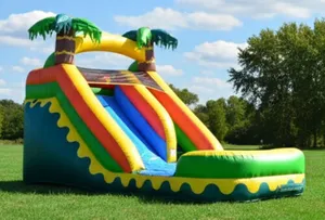 Summer Splash Party | Tropical Aloha 14' Slide