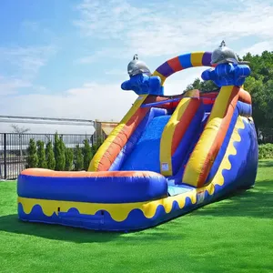 Summer Splash Party | Dolphin Splash 14' Slide