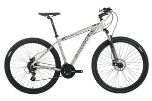 MTB Hardtail