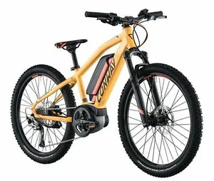 E-MTB Kids Hardtail 24