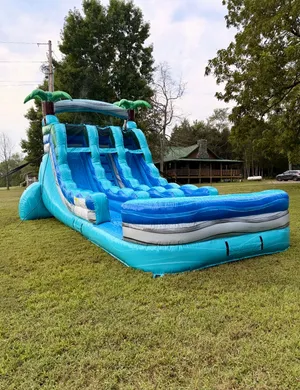 Tropical Wave 15 Ft Dual Lane Slide