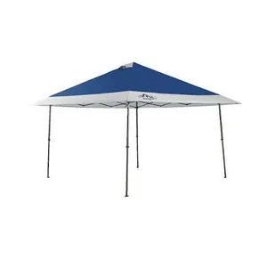 13x13 Canopy