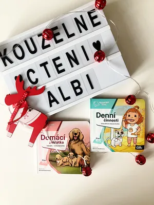 Alb kniha denní činnosti