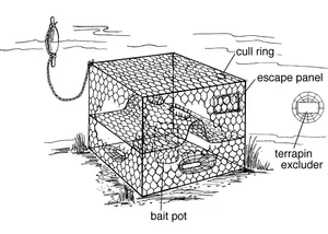Crab Pot