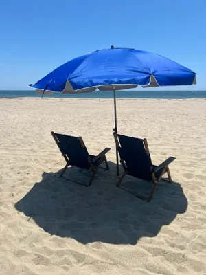 Premium Wooden Lounger