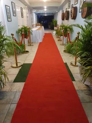 Red Carpet Runner