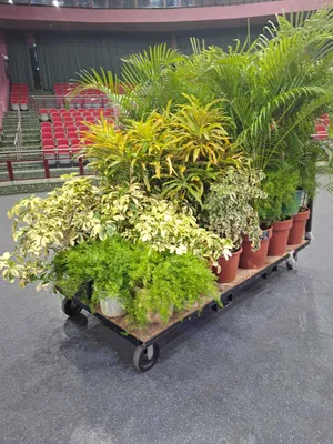Load of Plants