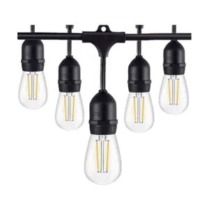 Festoon Lights