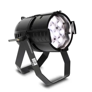 LED Lights (PAR) 