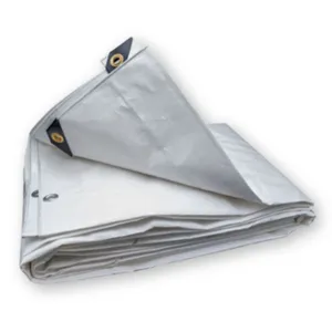 Tarp
