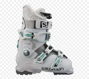 Alpine Ski Boot