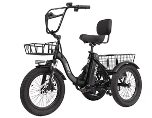 3-Wheel E-Bike, with rear basket.