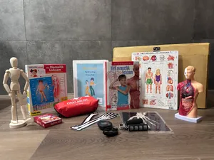 Mijn lichaam groep 5,6,7,8