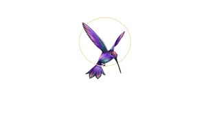 DECOR VOID PASARE COLIBRI
