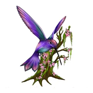 Colibri in copac 4 x 3,9 m