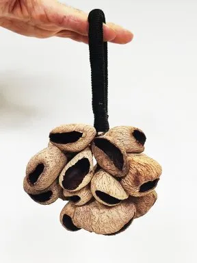 Sonajas de Semillas Naturales