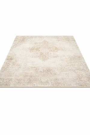 Neutral Area Rug 5x7