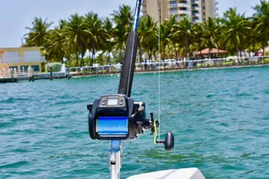 Daiwa Tanacom 1000 Electric Reel on Custom Rod