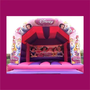 Disney Princess