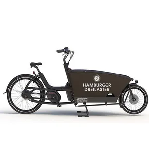 Pedelec Lastenrad