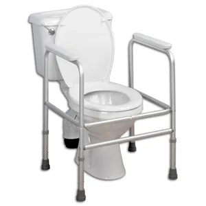 Toilet Surround Frame
