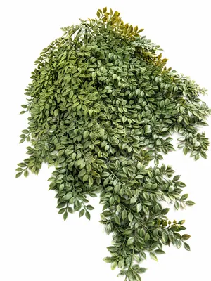 Faux Ruscus Bunch