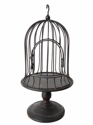 Iron Birdcage