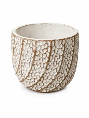 Clay Pot