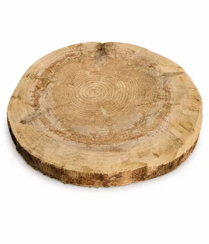 Spruce Wood Slab