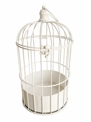 White Bird Cage