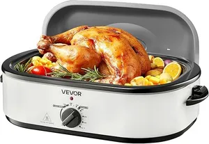Electric Roaster