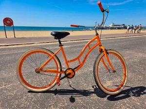 Brenda the Beach Cruiser